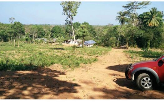 Prime Land for Sale in Mai Khao, Phuket